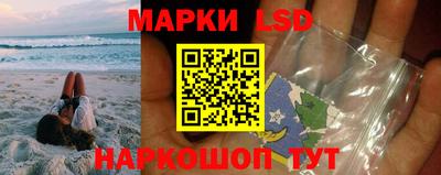 дмт Кингисепп