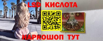 дживик Кимры