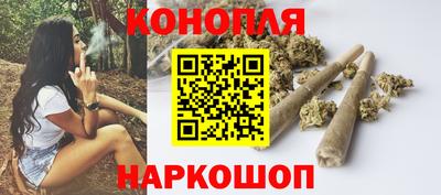 дмт Кингисепп