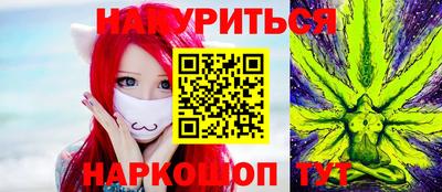 дмт Кингисепп