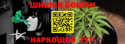 дмт Кингисепп