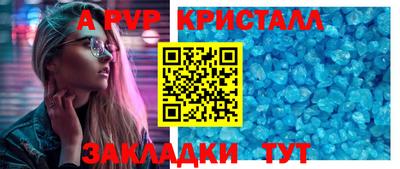 дмт Кингисепп