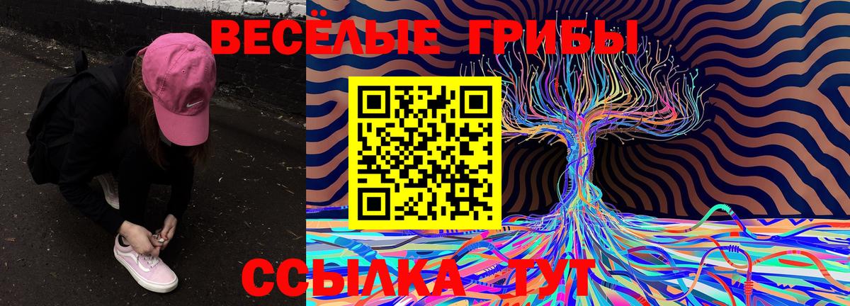 Галлюциногенные грибы MAGIC MUSHROOMS Карпинск