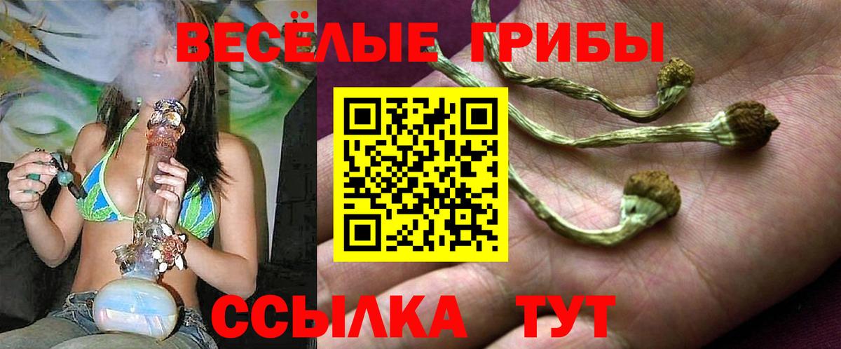 Карпинск  Псилоцибиновые грибы Cubensis  Вход с VPN 