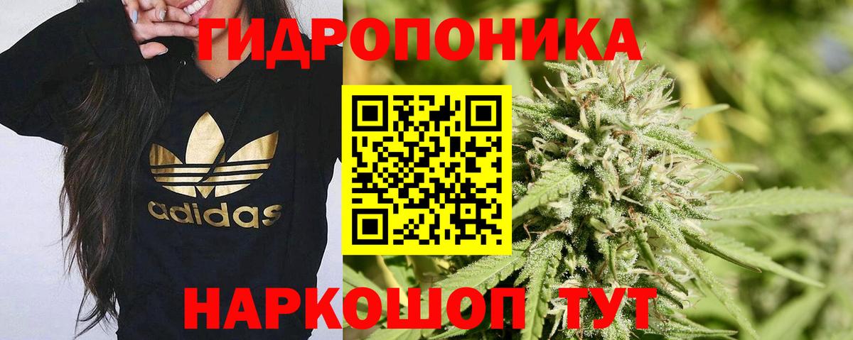 Канабис гибрид Карпинск